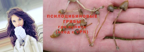 винт Беломорск