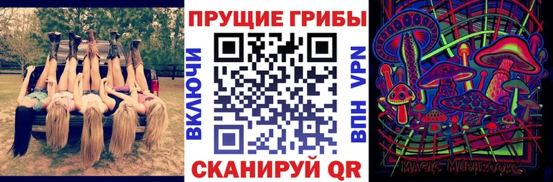 Псилоцибиновые грибы Psilocybe  Томари 